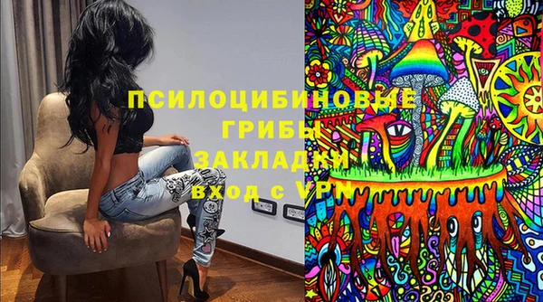 мескалин Медвежьегорск