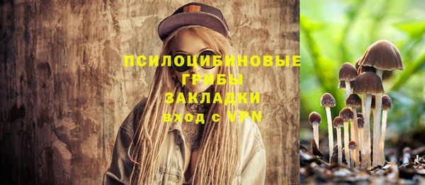 мескалин Медвежьегорск