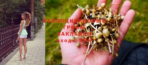 кристаллы Мегион
