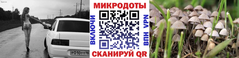 Псилоцибиновые грибы Magic Shrooms  Горбатов 